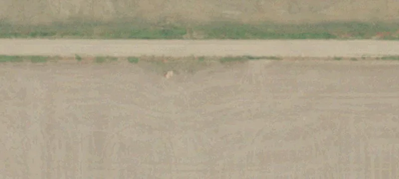 Cut Bank, MT 59427