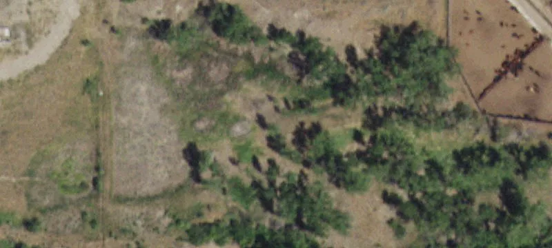 Chinook, MT 59523