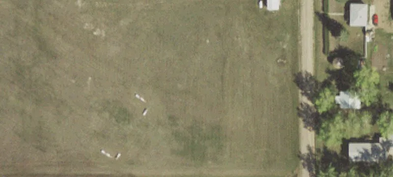 107 Cottonwood N St