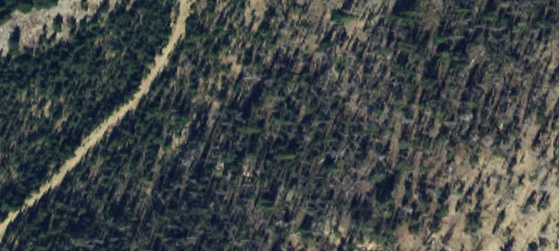 Pony, MT 59747