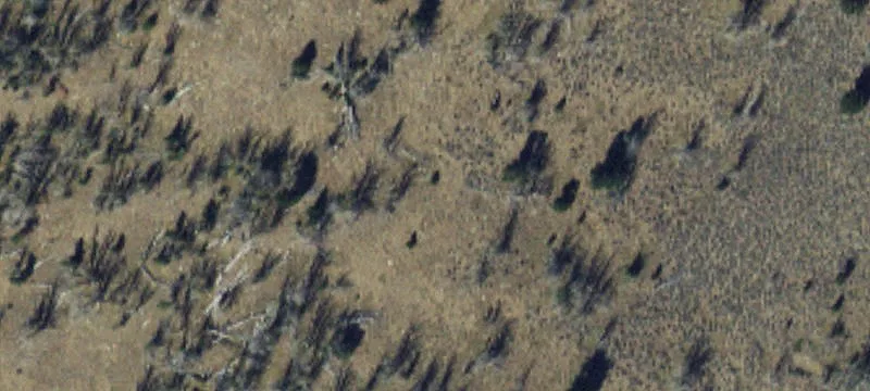 Pony, MT 59747