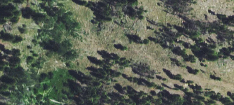 Basin, MT 59631