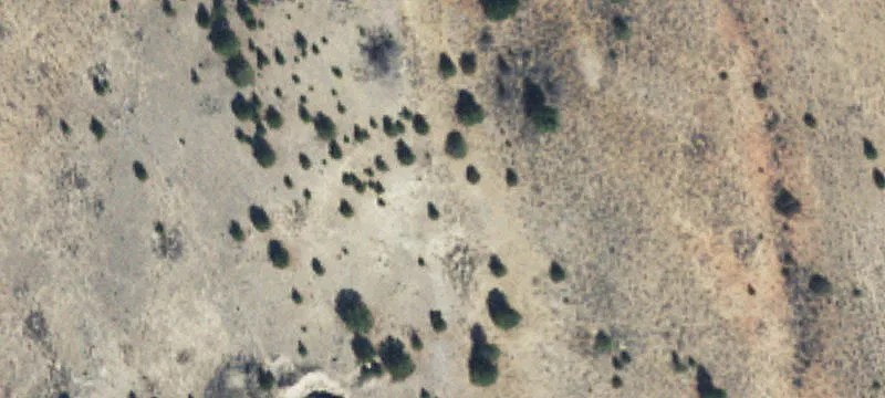 Dillon, MT 59725