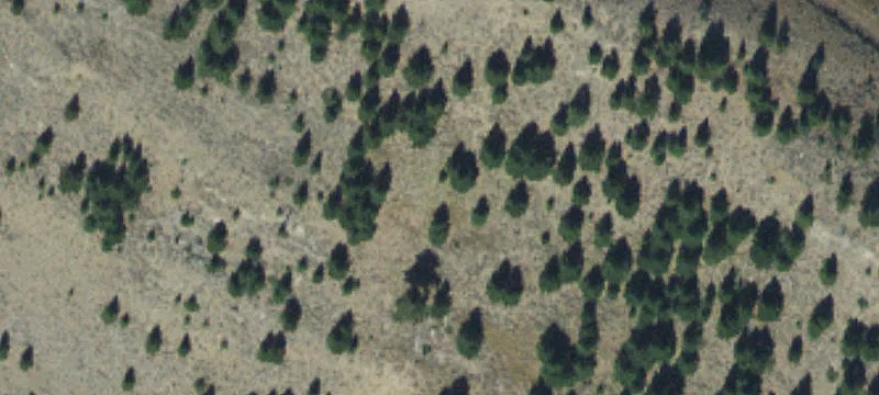 Deer Run Rd