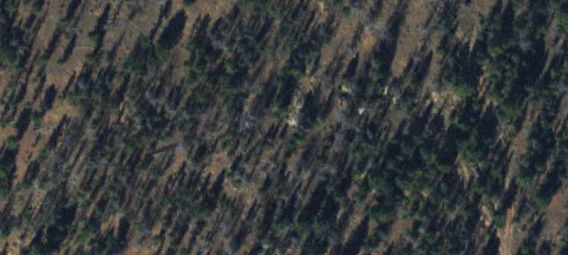 Wise River, MT 59762