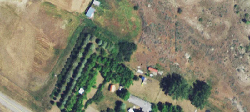52 Sheep Dip Rd