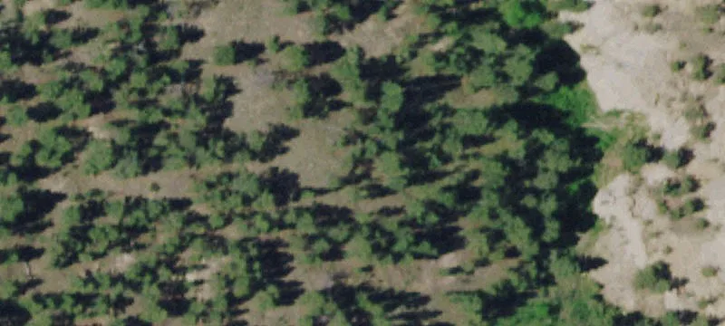 Forsyth, MT 59327