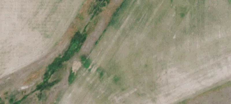 2011 Allen Rd