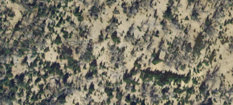 Pony, MT 59747