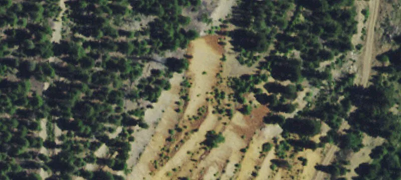 Elkhorn Rd