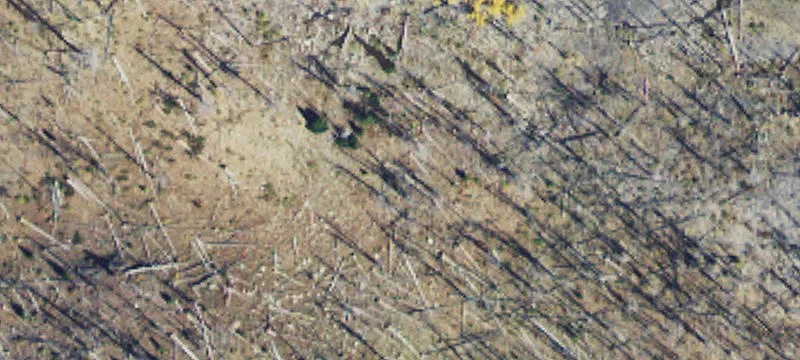 Cooke City, MT 59020