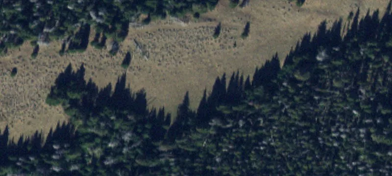 Pony, MT 59747