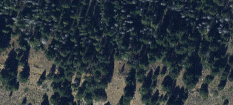 Pony, MT 59747