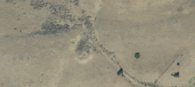 Pony, MT 59747