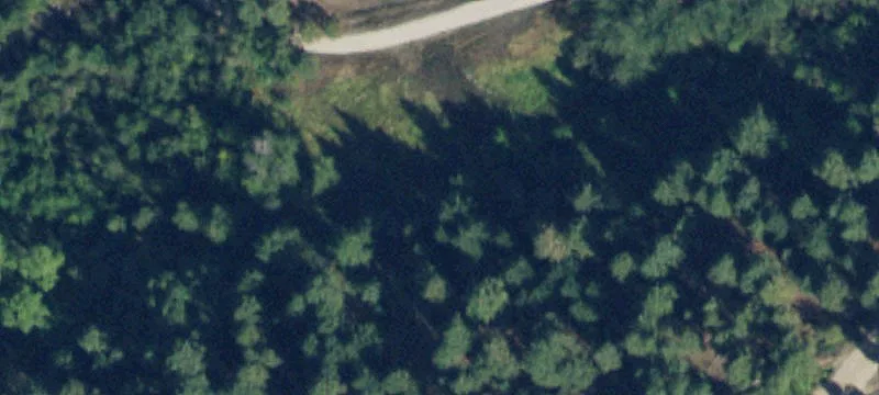 305 Jorgy Way