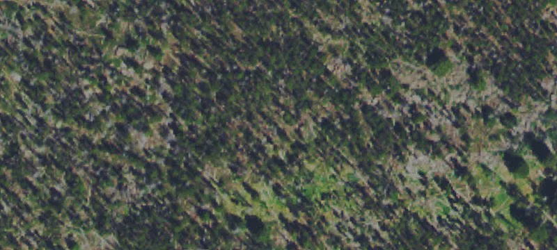 Butte, MT 59701
