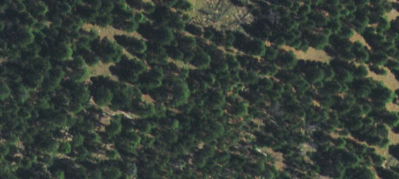Wolf Creek, MT 59648