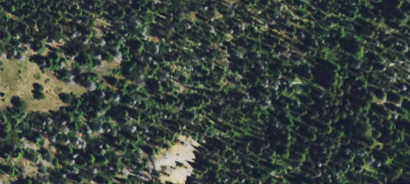 Basin, MT 59631