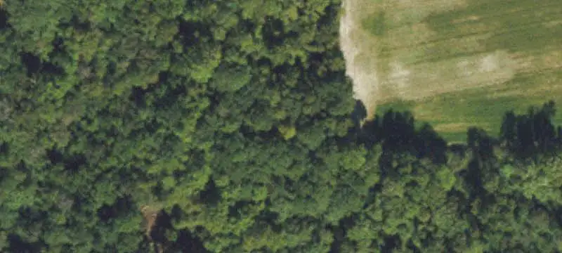 Fletcher, NC 28732