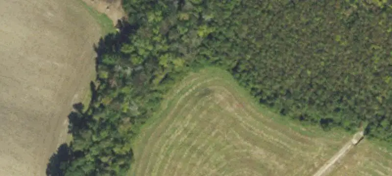 Old Winston Rd