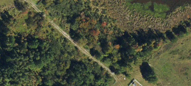 5313 Riley Hl Rd
