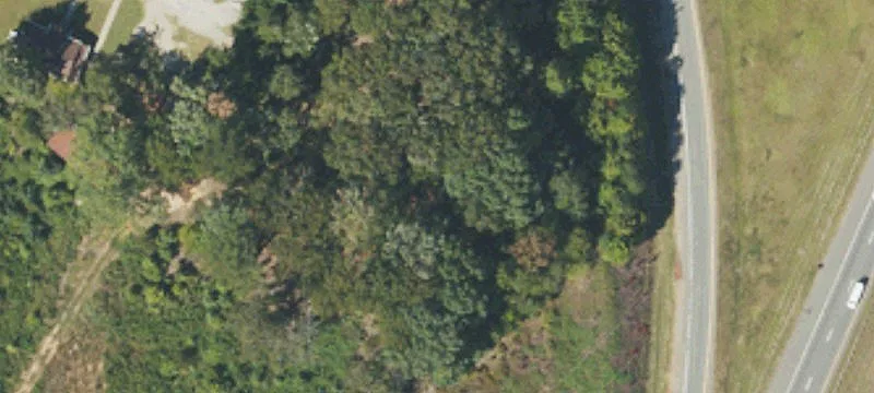 161 Flower House Loop