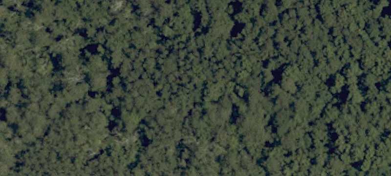 4510 Caratoke Hwy
