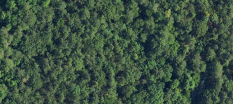452 Mt Vis Dr