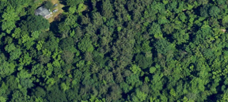 200 Palmer Walker Rd