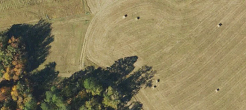 2540 Lynch Store Rd