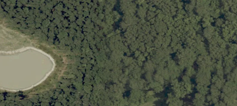 1991 Caratoke Hwy