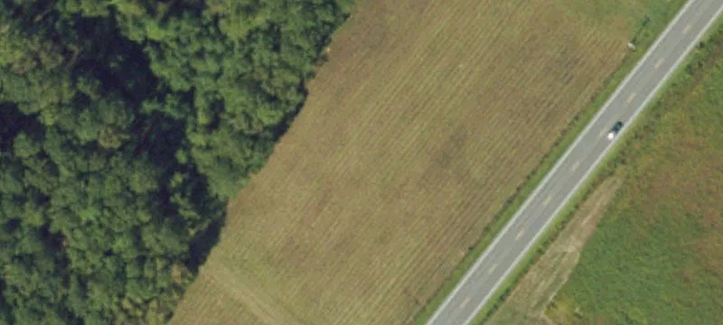 15620 Nc Hwy 11