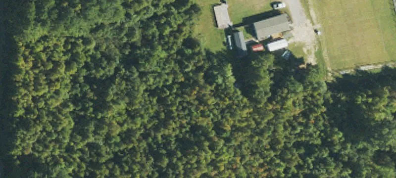 65 Liles Dean Rd