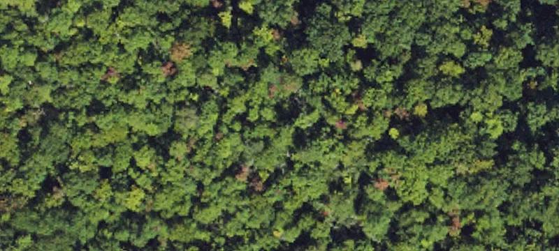 Pisgah Vw Rnch Rd
