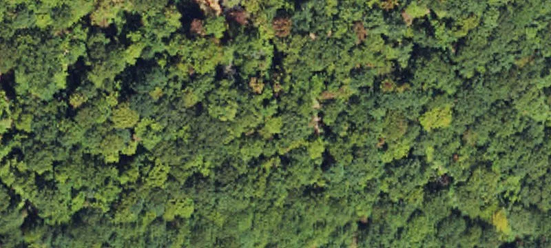 Pisgah Vw Rnch Rd