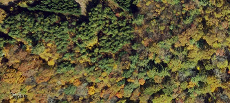 400 Mulberry Gap
