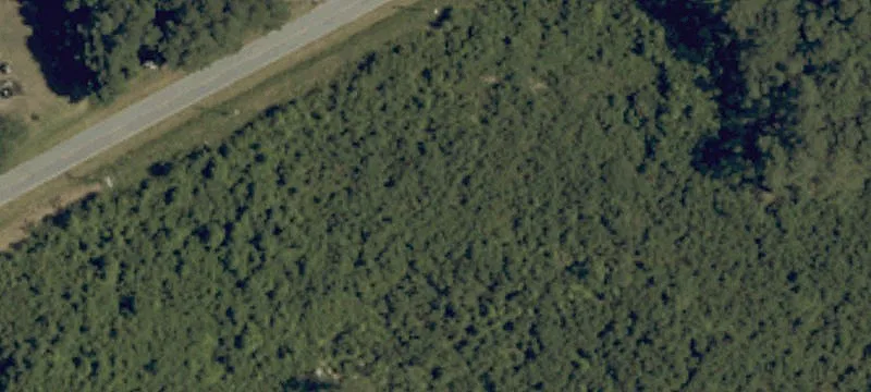 135 Dot Sears Dr