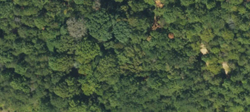  Mount