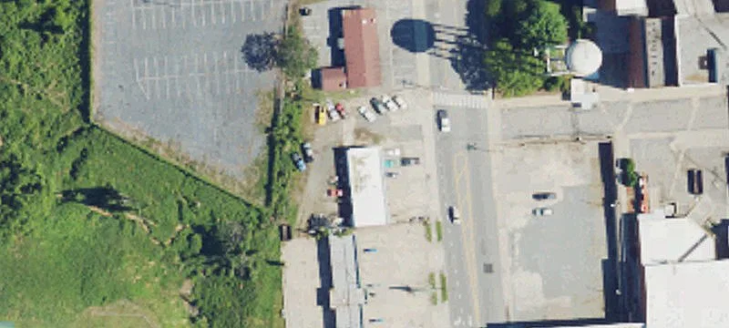 226 Scales St