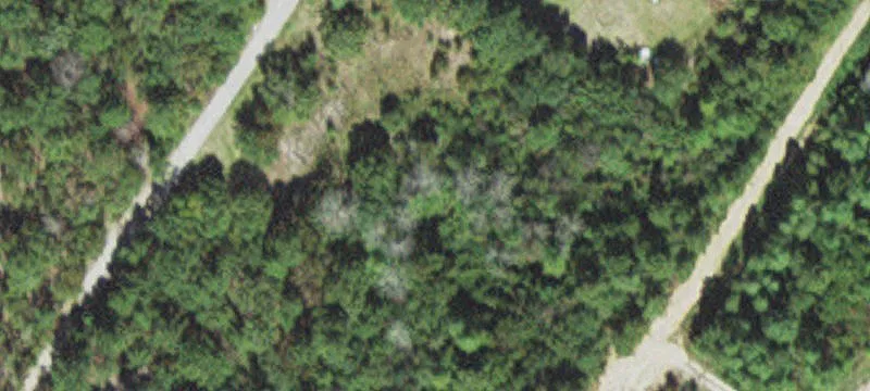 180 Elirea Ln