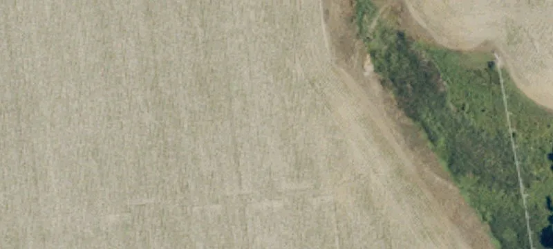 841 Avoca Farm Rd