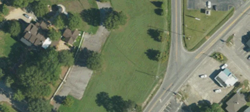 Ellis Ave
