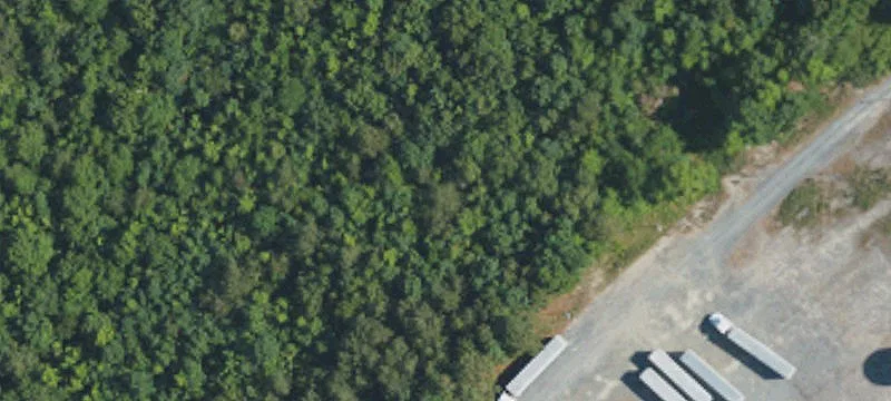 299 Hwy 49