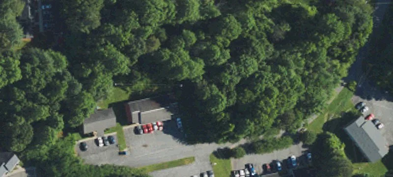 118 Reece Ct