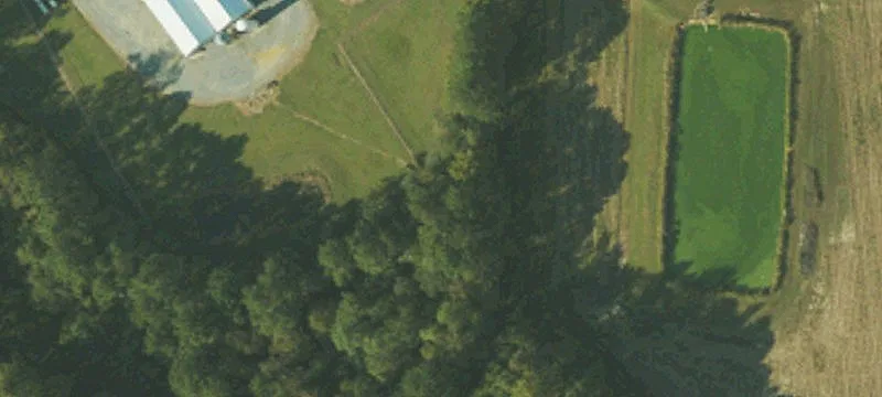 997 Pocosin Rd