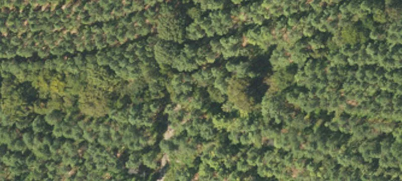Davidson, NC 28036