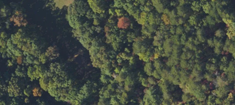 503 Dowdle Mtn Rd