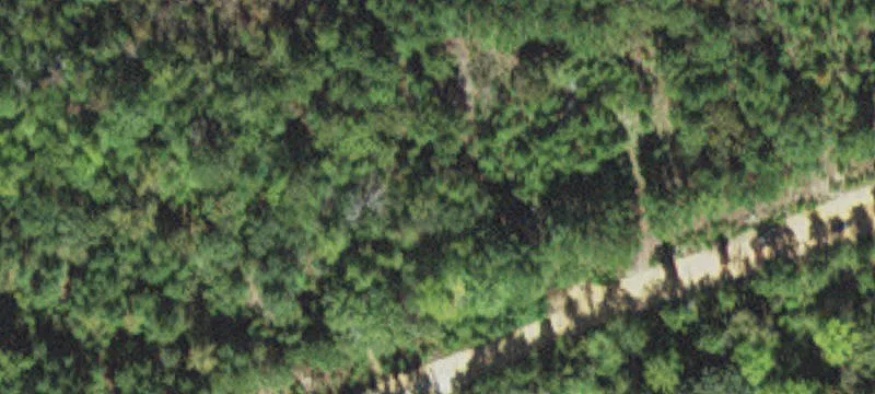 297 Whiffen Rd