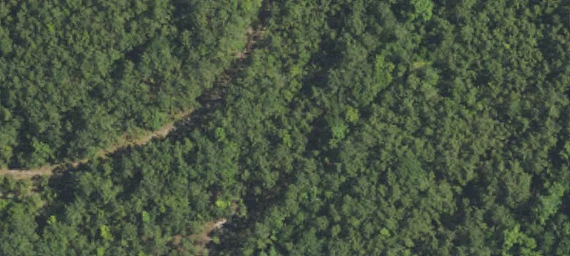 1247 Hale Swamp SW Rd