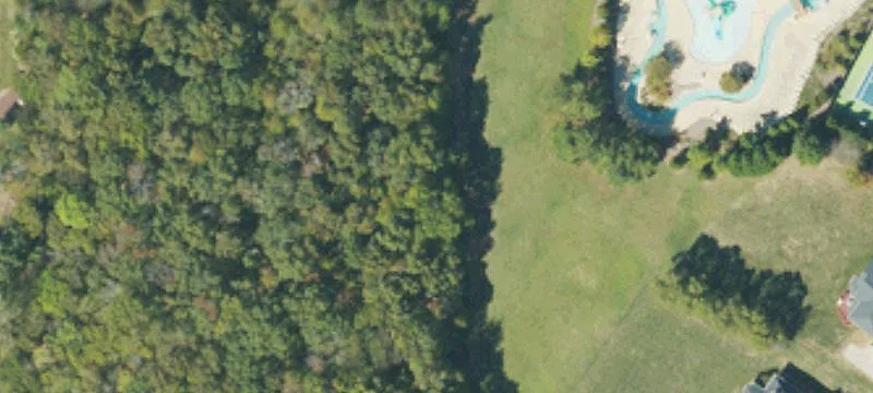 501 Briar Patch Ter